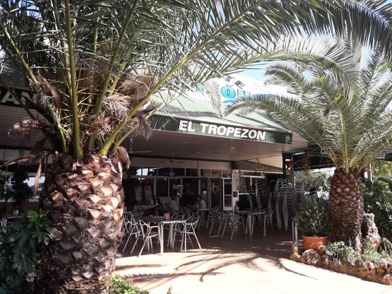 Imagen del restaurante con palmeras